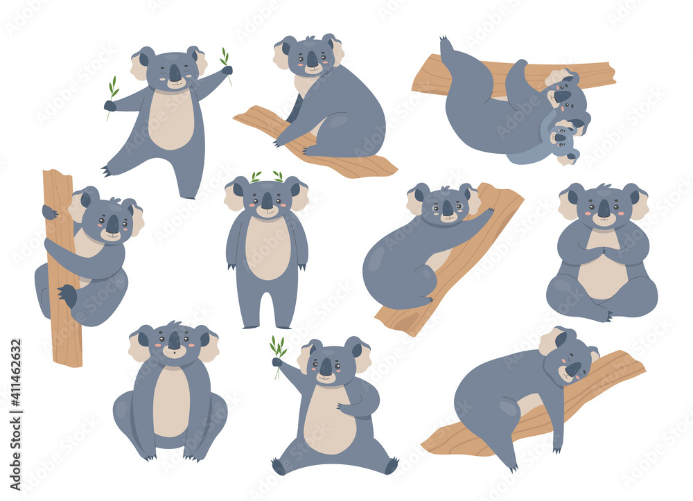 Koala vector illustration set. Cartoon cute furry animals characters in  different poses collection, gray bear koalas climbing eucalyptus tree,  sitting and eating, alone or with baby isolated on white Stock Vector |