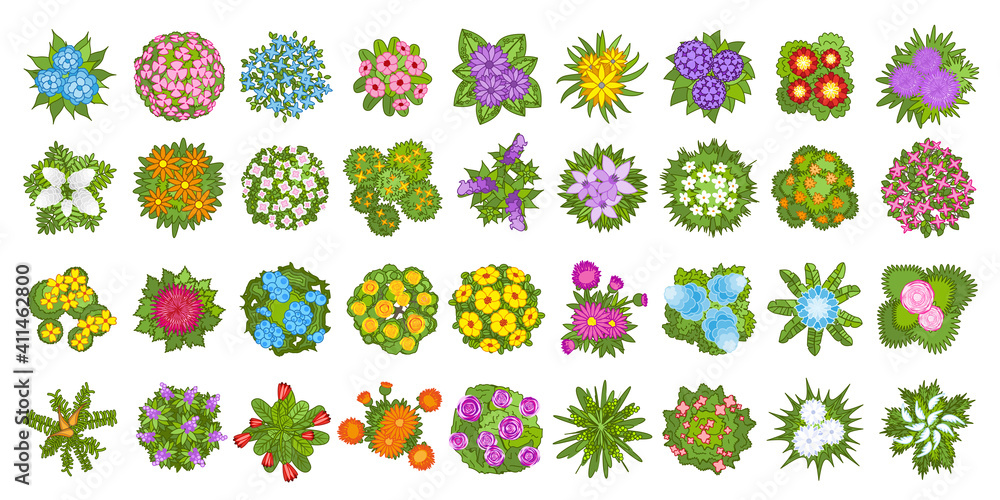 Vector set. Flowers. Top view. Collection of different flowers for