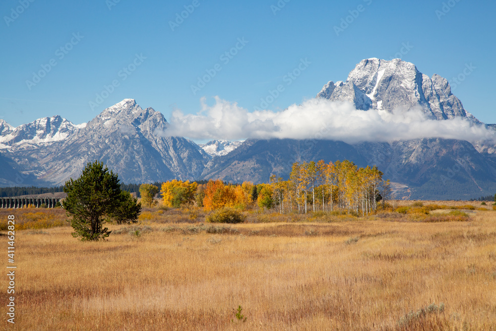 Fototapeta premium Grand Teton