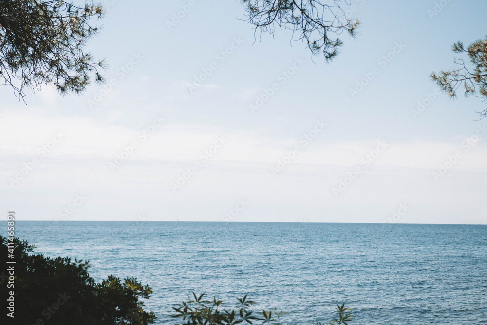 Sea coastline with trees around Sea coastline with trees around
