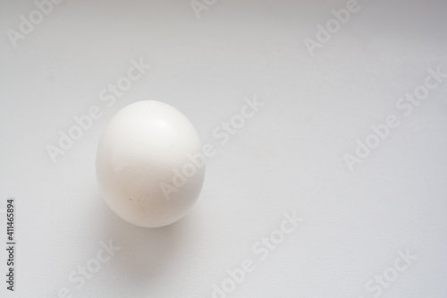 white chicken egg on white background