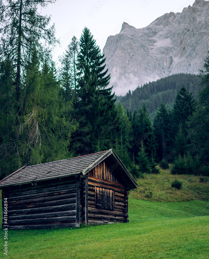 Hay hut on the meadow in the foothills of the Alps