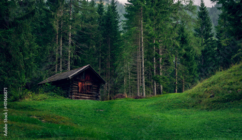 Hay hut on the meadow in the foothills of the Alps
