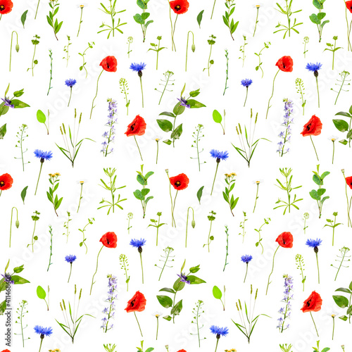 Wildflowers seamless pattern. Nature background