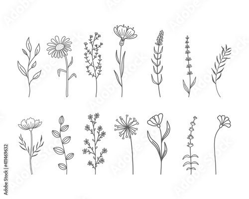 Set of hand drawn wildflowers and herbs. Vector illustration