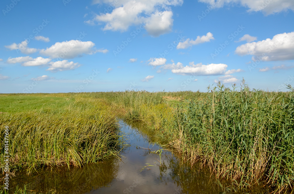 Wiese und Graben mit Wolkenhimmel Wiese und Graben mit Wolkenhimmel