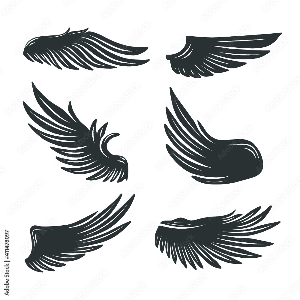 Collection of wings isolated on white. Vector illustration. Collection of wings isolated on white. Vector illustration.