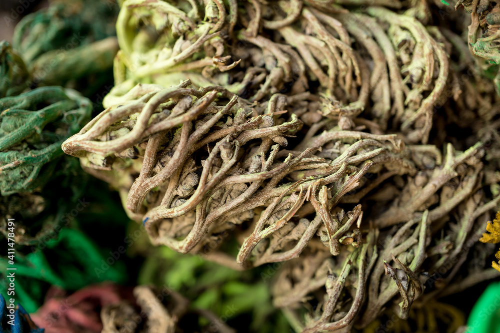 Colored dried seaweed shaped into decorative balls