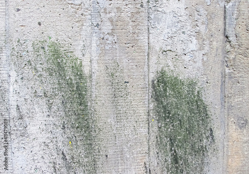 A simple concrete wall with a rough texture. Green smudges on a gray background.