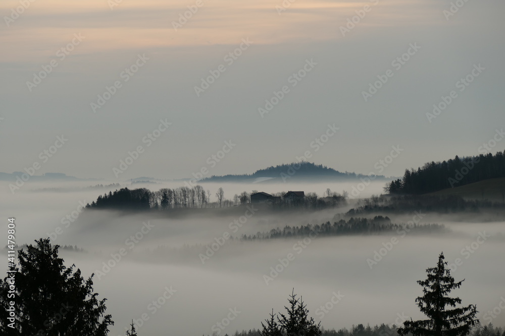 Nebel liegt im Tal