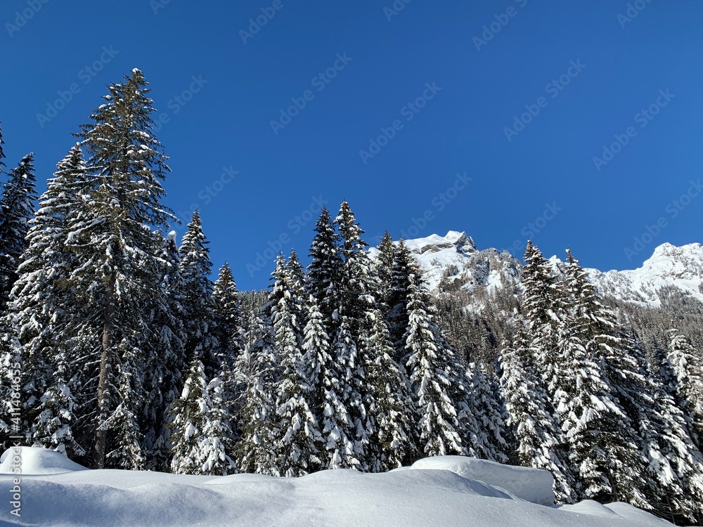 Fototapeta premium Canale d'Agordo