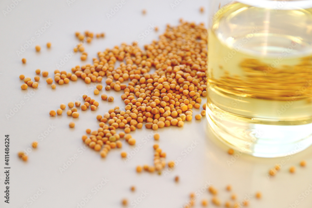 Mustard and vinegar in a bottle. Basic mustard ingredients. Mustard and vinegar in a bottle. Basic mustard ingredients.