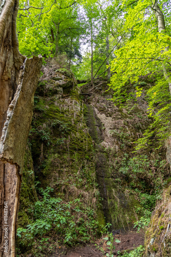 Landscape with moss covered rocks and trees in the Drachenschlucht © Reiner