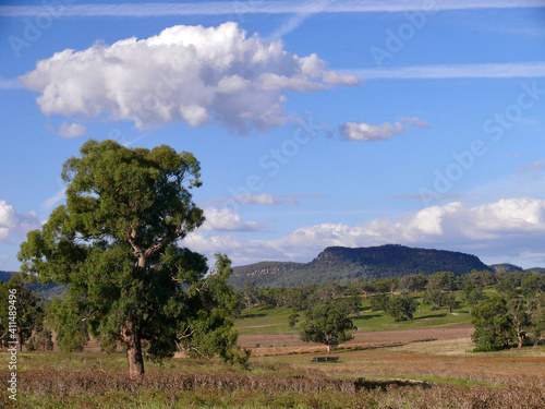 landscape with trees