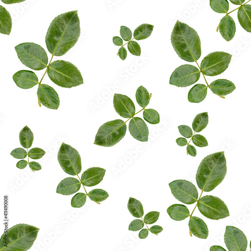 Seamless pattern with green leaves