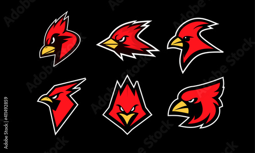 set collection cardinal bird red logo with black background icon design vector illustration