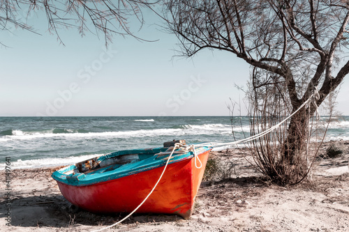 red and blue boat tied to a tree laying at the beach in winter time rough sea