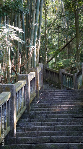 steps along the QingLong Mountain Trail, Sun Moon Lake, Yuchi Township, Nantou County, Taiwan, January