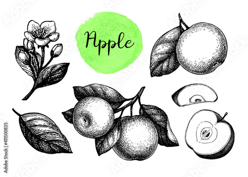Apple sketch set.