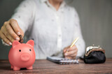 Female business woman doing administration, counting and saving money with pink piggy bank, business, savings,tax,financial concept background