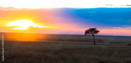 Sunset in savannah of africa with acacia tree. Seen at Game drive in wildlife reserve. Place for Text. Tourism and vacations concept.