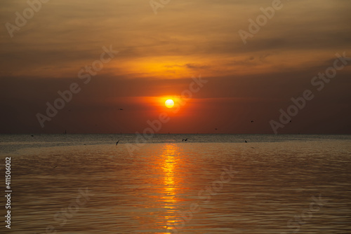 silhouette landscape sunset at the sea colorful scenic heavens orange sky outdoor nature background with bird are flying. © thithawat