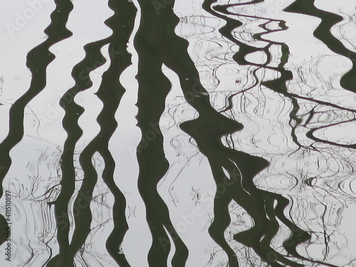 branches of a tree being reflected in waving water