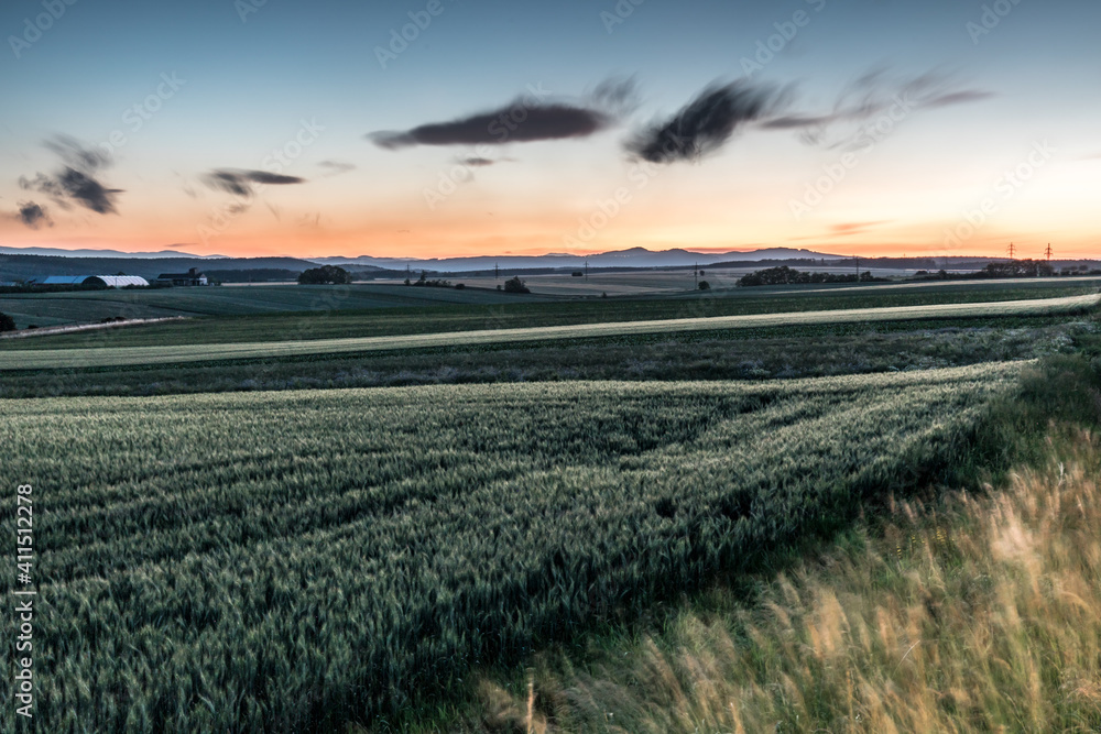 Obraz premium Feld im letzten Tageslicht