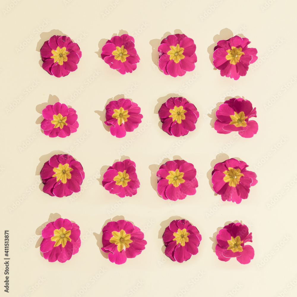 Spring Pattern made with Pansy Flowers on beige background.Nature and woman's day concept. Modern minimal flat lay. Spring Pattern made with Pansy Flowers on beige background.Nature and woman's day concept. Modern minimal flat lay.