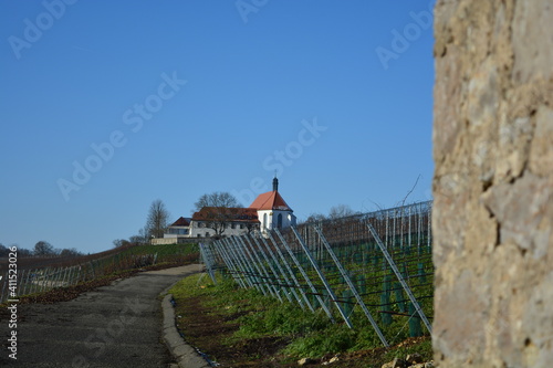 View of the Vogelsburg am Main near Volkach with vineyards and copy space in the blue sky in spring, Franconia, Bavaria, Germany photo
