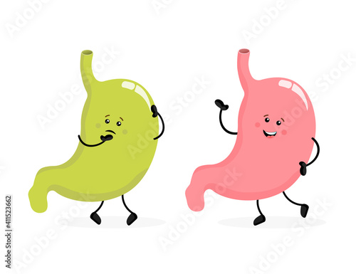 Stomach organ. Flat cartoon vector illustration. Health care concept. Isolated vector icon. Human organs isolated on white background.