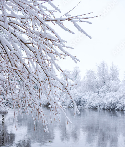 Wallpaper Mural Branches under snow Torontodigital.ca