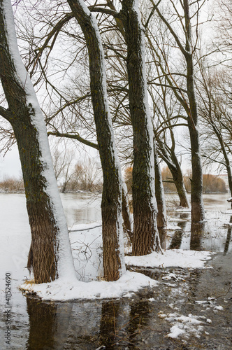 Wallpaper Mural Trees in early spring water of river Torontodigital.ca