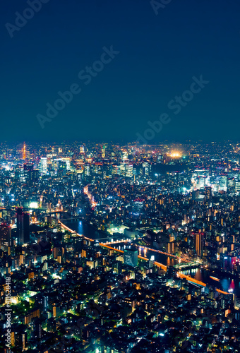 Tokyo  Japan cityscape view from high above