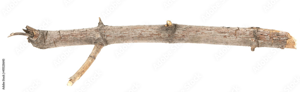 Dry tree twigs branches isolated on white background. pieces of broken wood plank on white background. close-up