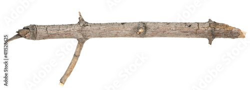 Dry tree twigs branches isolated on white background. pieces of broken wood plank on white background. close-up