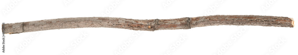 Dry tree twigs branches isolated on white background. pieces of broken wood plank on white background. close-up Dry tree twigs branches isolated on white background. pieces of broken wood plank on white background. close-up