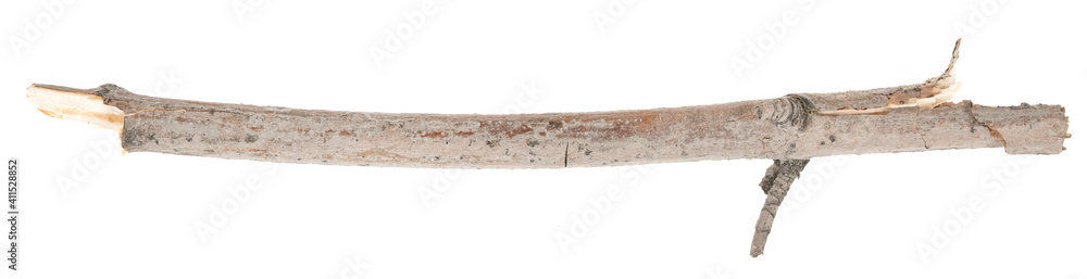 Dry tree twigs branches isolated on white background. pieces of broken wood plank on white background. close-up Dry tree twigs branches isolated on white background. pieces of broken wood plank on white background. close-up