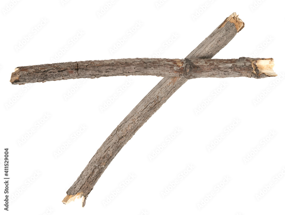 Dry tree twigs branches isolated on white background. pieces of broken wood plank on white background. close-up Dry tree twigs branches isolated on white background. pieces of broken wood plank on white background. close-up