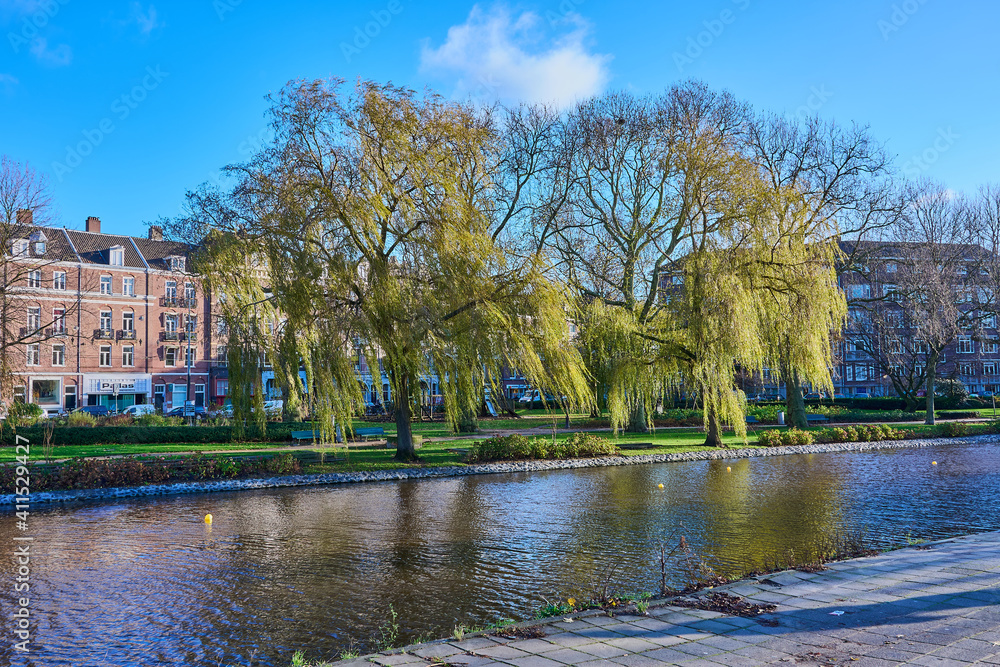 Around the canals of Amsterdam, various parks with old trees overlook the canal. Holland
