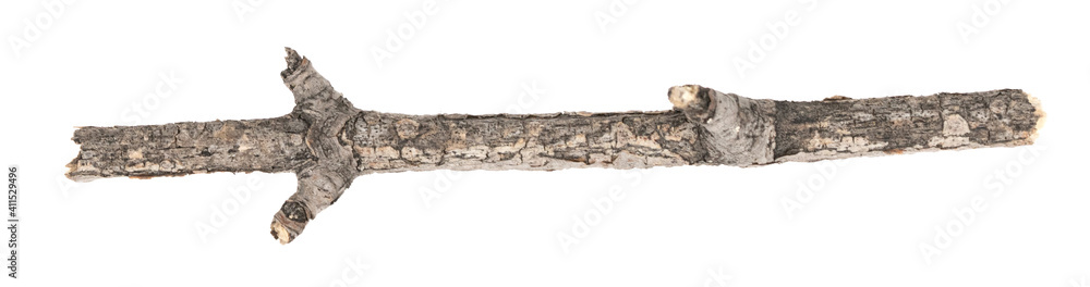 Dry tree twigs branches isolated on white background. pieces of broken wood plank on white background. close-up