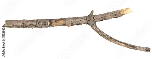 Dry tree twigs branches isolated on white background. pieces of broken wood plank on white background. close-up
