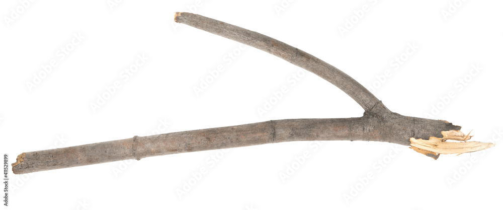 Dry tree twigs branches isolated on white background. pieces of broken wood plank on white background. close-up Dry tree twigs branches isolated on white background. pieces of broken wood plank on white background. close-up