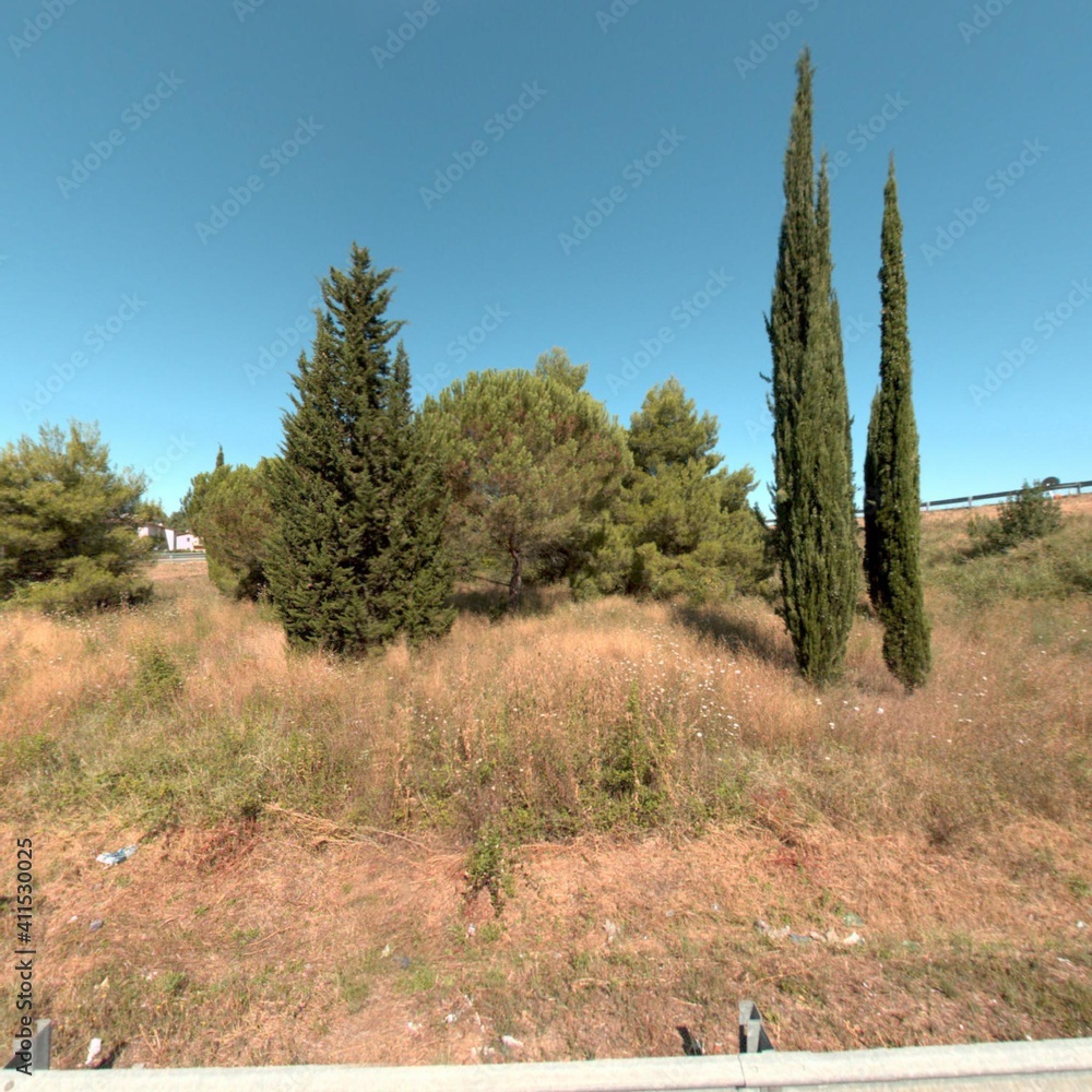 Obraz premium landscape with trees