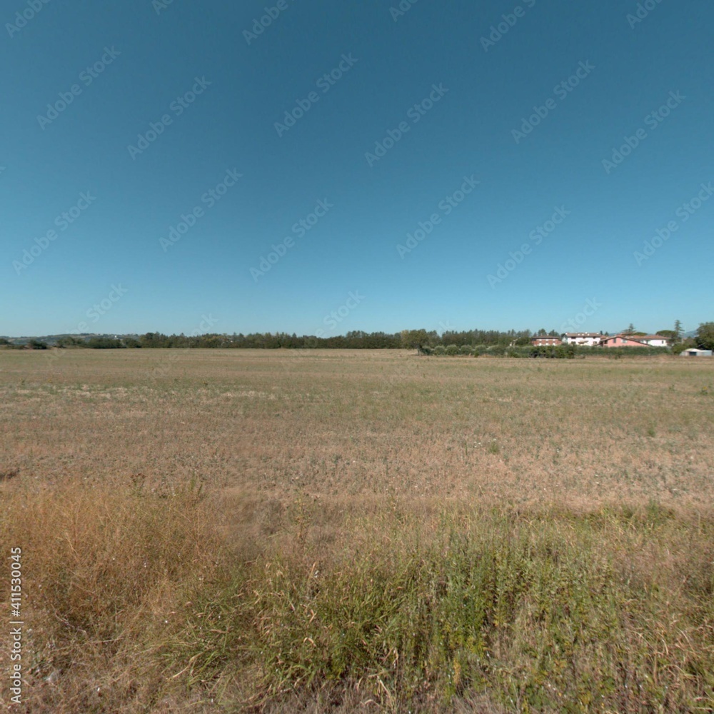 Fototapeta premium landscape with trees