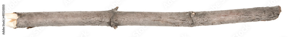 Dry tree twigs branches isolated on white background. pieces of broken wood plank on white background. close-up Dry tree twigs branches isolated on white background. pieces of broken wood plank on white background. close-up