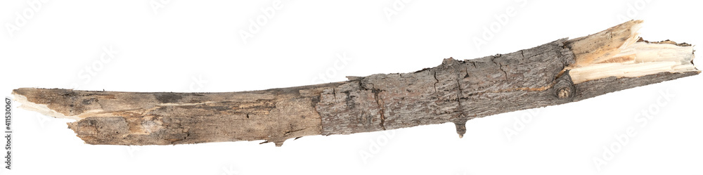 Dry tree twigs branches isolated on white background. pieces of broken wood plank on white background. close-up Dry tree twigs branches isolated on white background. pieces of broken wood plank on white background. close-up