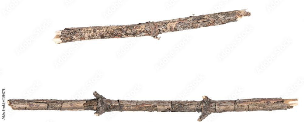 Dry tree twigs branches isolated on white background. pieces of broken wood plank on white background. close-up Dry tree twigs branches isolated on white background. pieces of broken wood plank on white background. close-up