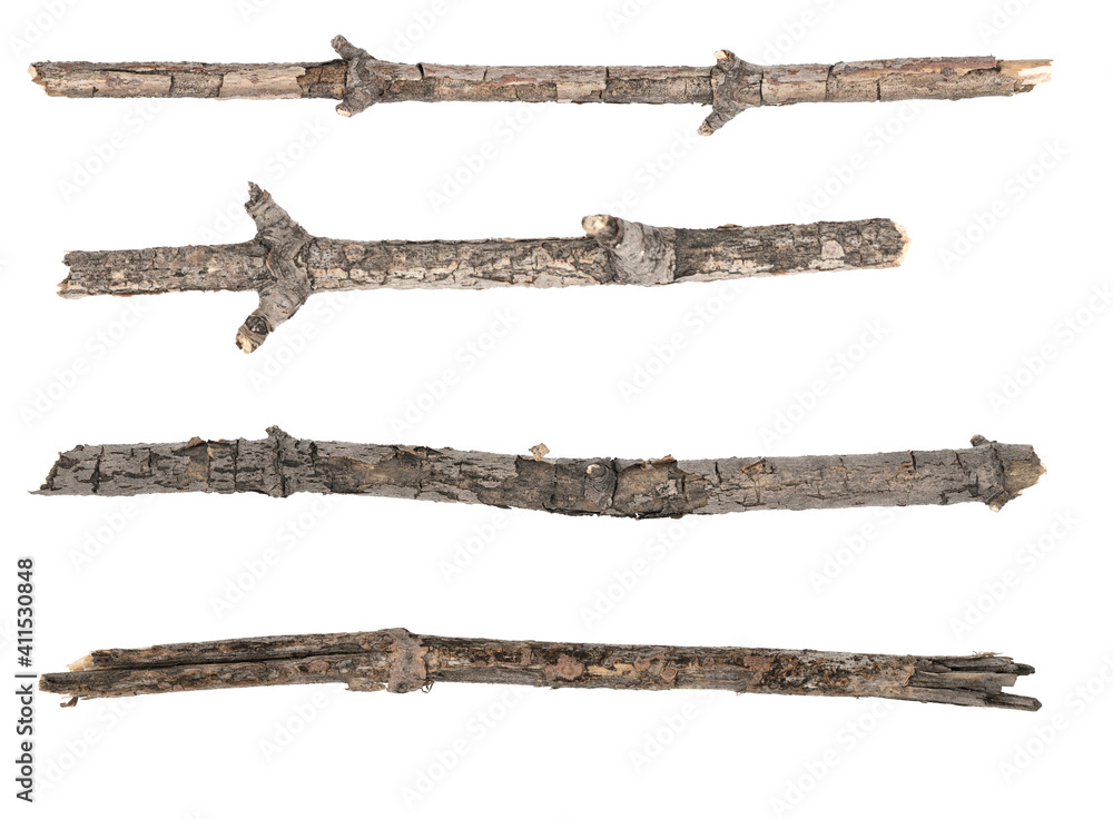Сollage dry tree twigs branches isolated on white background. pieces of broken wood plank on white background. close-up Сollage dry tree twigs branches isolated on white background. pieces of broken wood plank on white background. close-up