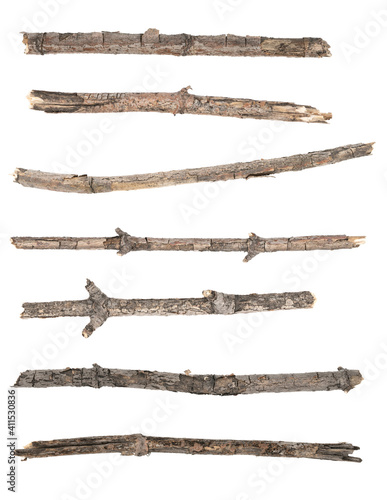 Сollage dry tree twigs branches isolated on white background. pieces of broken wood plank on white background. close-up